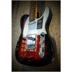 Guitarra Fender Telecaster Player Series