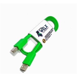 Cable Welx Audio USB Flat Type B - 1 Metro
