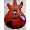 PRS Paul Reed Smith West Street Limited 2008