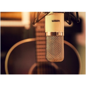Microfono Condenser Warm Audio WA251 Valvular