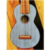Ukelele Martin & amp; Co 0X Bamboo Soprano Rosewood