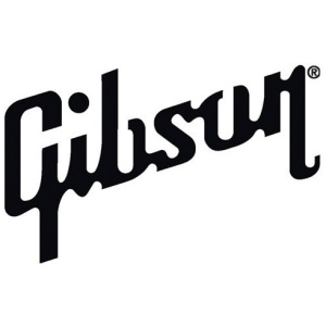 Gibson Prtk 010 / 020 Capuchón Para Llave Les Paul Original