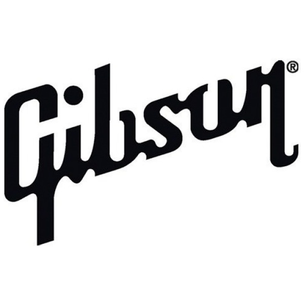 Gibson Prtk 010 / 020 Capuchón Para Llave Les Paul Original