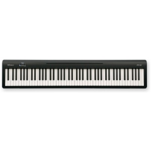 Piano Eléctrico Roland FP10 Black 88 Notas Midi Usb