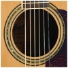 Guitarra Acústica Cort Earth 100